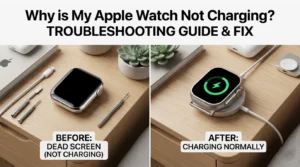 apple watch fixation guide